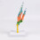 Life Size Anatomical Hand Bone Model With Movable Joints For 7