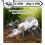 Remote Control Spider Animal Robot Toy for Kids 6