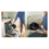 Bosch Bosch MAFS2462B Serie 4 6