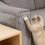 Clear PVC Pet Scratch Guard For Sofa 4Pcs Easy Stick-25x40 cm 7