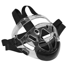 Comprehensive Protective Clear Mask Removable-Onesize fits all