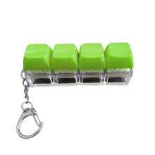 Delicate Key Accessory Showcasing Unique Mechanical-Light Green