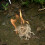 Fire Wax Stick Resistant to Moisture for Backpacking-10 sticks 2
