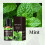 10ml Volatile Oil Refill Liquid for Auto Fragrances-Lemon 6
