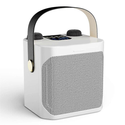 Enceinte karaoké Bluetooth haute puissance avec double microphone blanche_M 2