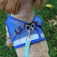 Kissanvaljaat, kissanvaljaat paeta estävät_M