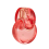 Bvlgari Bvlgari Omnia Coral-100 ml 1