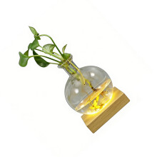 LED Illuminated Hydroponic Glass Vases For Observing Root-1