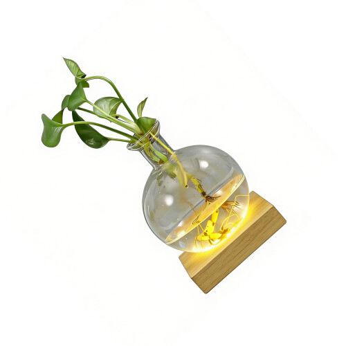 LED Illuminated Hydroponic Glass Vases For Observing Root-1