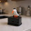Convenient Press Type Toothpicks Storage Box With Playful Bird 7