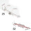 Adjustable Metal Hook For Pegboard Systems Ideal For-6mm 32 2