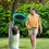 LED Light Up Flying Disc Glow Frisbee 23cm - YELLOW 6