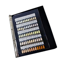 120 Color Nail Polishing Sample Book With Magnetic Clips-Black