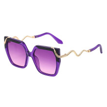 Oversized Sunglasses Metal Snake Temples Eyeglasses For Women-4