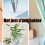 10 stuks helder acryl penbeker multifunctionele desktop-Grijs 6