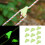 Auto Glowing Rope Clip For Visibilities Regulable Cord-100 3