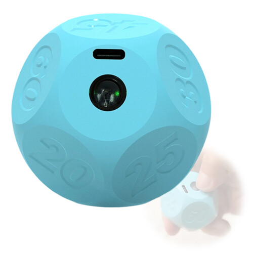 Multipurpose Timers 12 Sided Flipping Quiet Countdowns-Blue