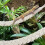 Reptilien-Terrarium-Sitzstange für-Baumwollseil 6