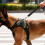 Adjustable Harness with Rope For Dog Strength Ergonomic-Brown M 2