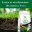 Empathy Supreme Green Lawn Seed 1kg with Rootgrow 7