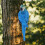 Parrot Status Wandhalterung - Harzblau 507 g 5