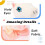 Talking Unicorn Repeat What You Say Walking Electric Interactive Animation Toy 3