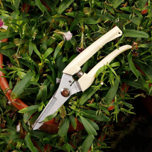 Gartengeräte, Edelstahl-Gartenscheren, Obstbaumscheren, Gartenastscheren (gerader Kopf), neue oder gebrauchte Verpackung wird nach dem Zufallsprinzip