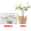 10pcs Plant Potted Flower Shape Support Rod Fixed Anti-lodging Leaf Guard Frame, Size:17cm 4