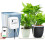 WiFi-Controlled Automatic Timed Drip Irrigation Watering System, Specification: EU Plug(White) 1