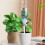 Home watering drip system with adjustable infiltration device (cream green) 2