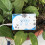 YX-A1-85 Household Intelligent Timing Automatic Flower Watering Device 1