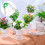Système d'irrigation de jardin simple à infiltration d'eau, dispositif d'arrosage automatique (vert) 1