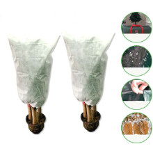 Lot de 2 housses antigel pour plantes, protection automne-hiver, sac antigel non tissé, dimensions : 0,8 m x 1,2 m