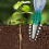 4pcs /Set Coke Bottle Ceramic Flower Watering Device Automatic Drip Irrigation 5