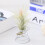 2 PCS Air Aluminum Wire Pineapple Rooting Holder Spring Base, Size:5.25.356cm(Silver) 4
