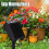 Smart Automatic Solar Timed Wireless Controlled Watering Device(SW15 Set) 5