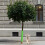 Small Plant Trunk Protector Garden Anti Nibbling Plastic Protective Cover(White) 2