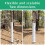 Small Plant Trunk Protector Garden Anti Nibbling Plastic Protective Cover(White) 4