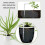 Smart Dual Pump Automatic Watering System 20 Drip Emitters Kit For Garden Plants - Battery/Electric Powered EU Plug 5