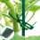 Multi-Purpose Garden Plants Fishbone Cable Ties, Length: 13cm/50pcs 5