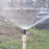 4 Points Adjustable Scattering Sprinkler (Sprinkler + Ground Plug + Quick Connect) 5