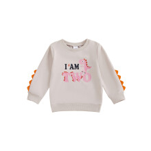 (18-24 Months, Pink) Toddler Baby Birthday Sweatshirt Letter Dinosaur Print Long Sleeve Crew Neck Tops Fall Pullover