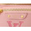 LV Mini Bumbag Gradient Monogram Bag 17×12×9.5cm 2