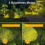 2PCS 7 LEDs Solar Spotlights Solar Light Solar Powered pathway lighting Waterproof Warm Light 3