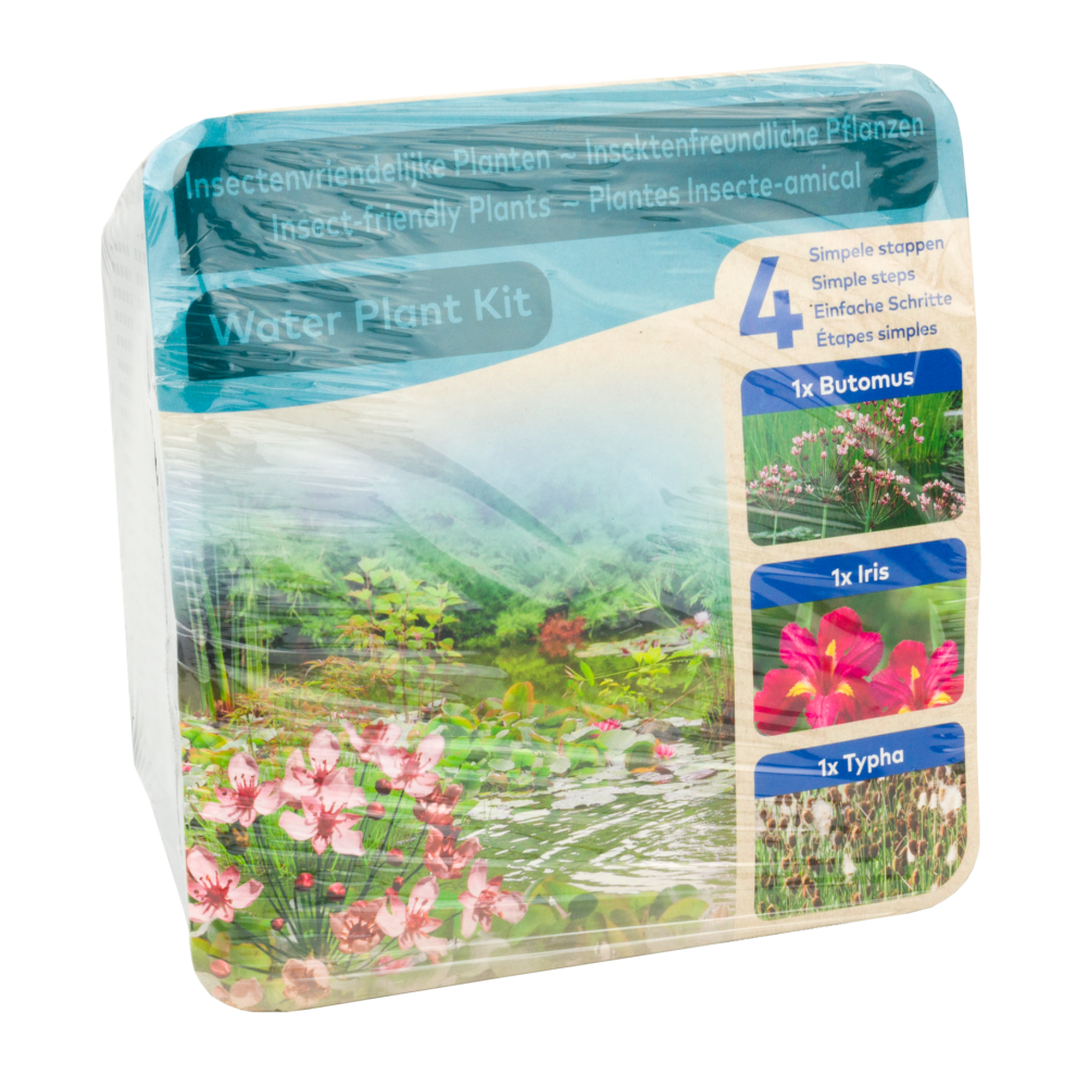 Moerings Waterplants Zone 3 Pond Plants Complete Aquatic Planting Kit – Insect-Friendly Plants (Iris, Butomus And Typha)