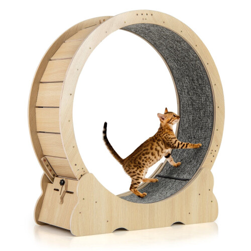 Loopwiel voor katten met vergrendeling, 101 cm, stil ontwerp 1