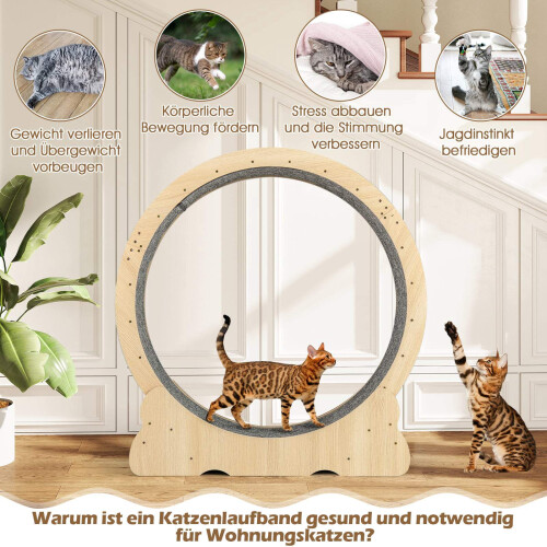 Loopwiel voor katten met vergrendeling, 101 cm, stil ontwerp 2