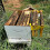Beehive Inspection Bracket, 2Pcs Beehive Frame Holder, Stainless Steel Beehive Frame Perch, Bee Hive Stand, Bee Frames A 5