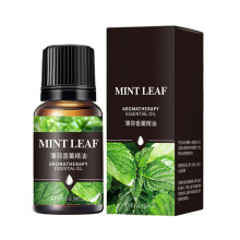 Car Perfume Refill Liquid Flavor Volatile Oil Car Air-Mint