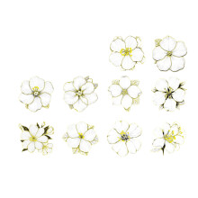Artistic Decors Sticker Scrapbooking Sticker-Qiu Ya Begonia
